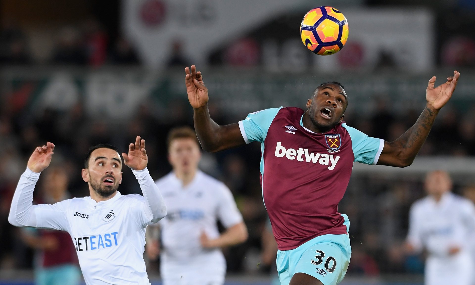 默舔傷口 默舔傷口